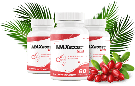 MaxBoost Official Website